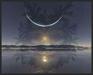 Solstice Picture