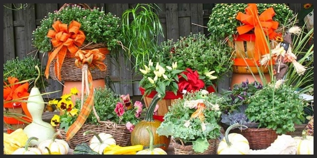 flouwer