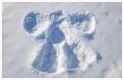 snow angel