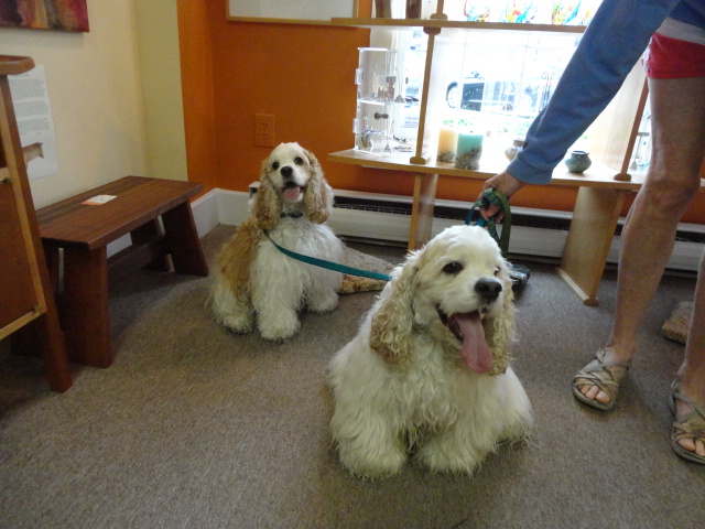furry friends
