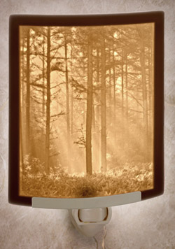 night light