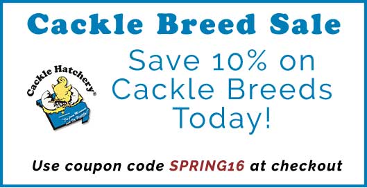 Cackle Breed Sale