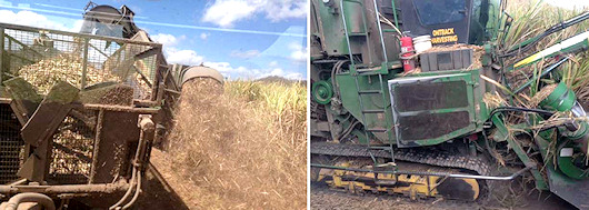Nathan Grech - Ontrack Harvesting in Sarina