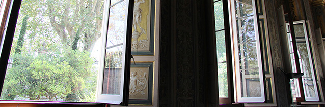 Photograph (detail) by pedrojperez: http://www.morguefile.com/creative/pedrojperez 