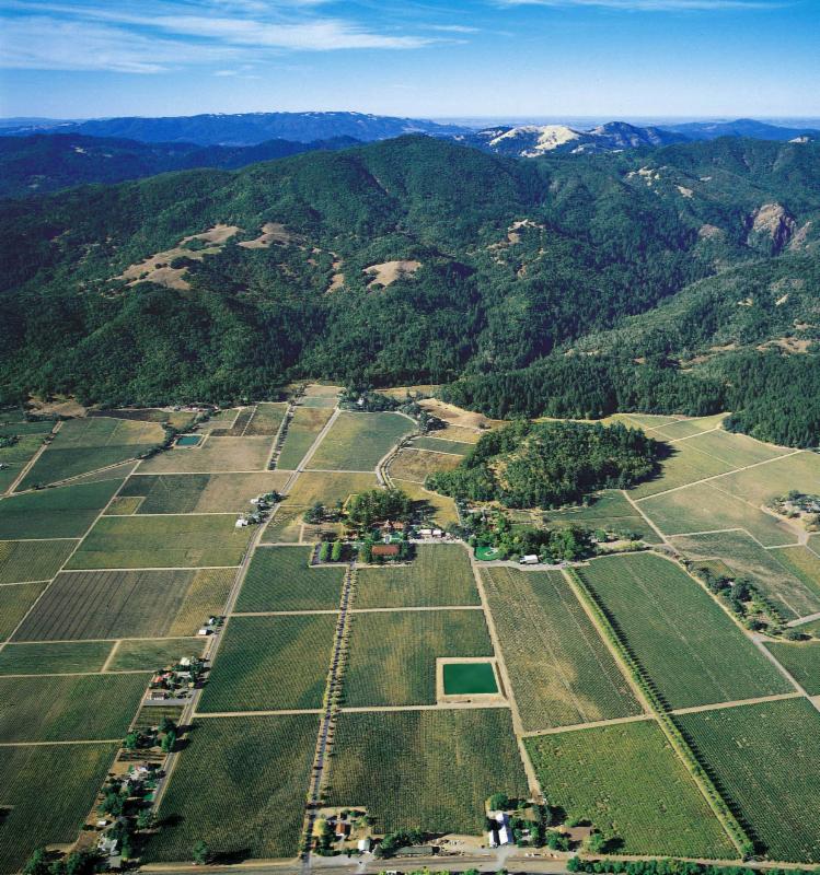 Inglenook Estate - Aerial