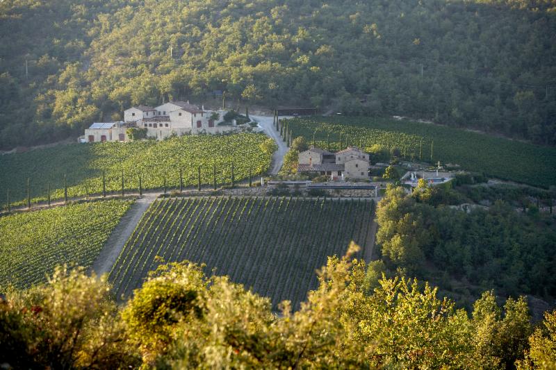 BRANCAIA Vineyard