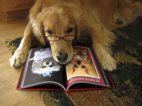 pawstoread