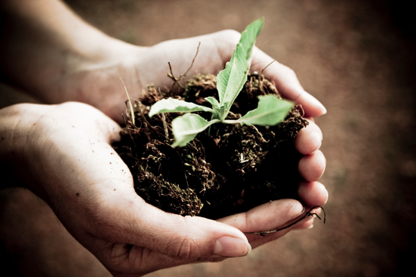 handholdingcompost