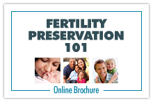 FP 101 brochure