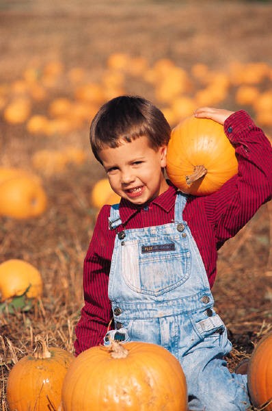 boy with pumpkins