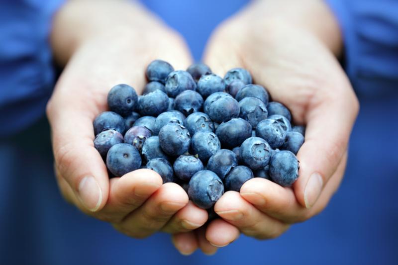 handful_fresh_blueberries.jpg