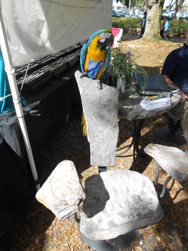 Macaw on Chair