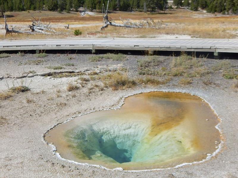 Geyser