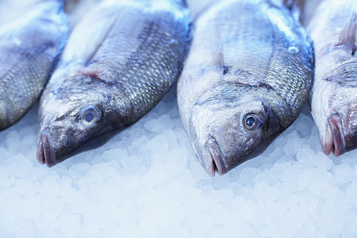 fish2.jpg