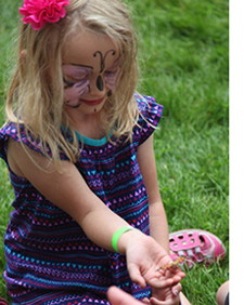 Butterfly Festival 2015