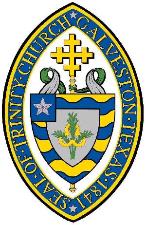 Trinity Seal Clear