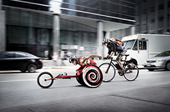 MTO Pan Am Games report