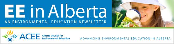 newsletter header