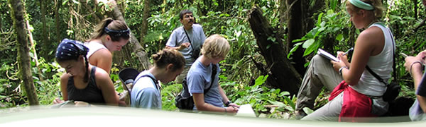e-canopy header image