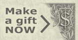 Make a gift now button