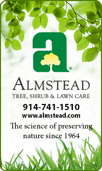 Almstead Tree Shrub and Lawn Care