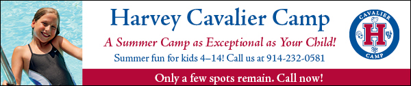Harvey Cavalier Camp