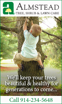 Almstead Tree & Lawn Care