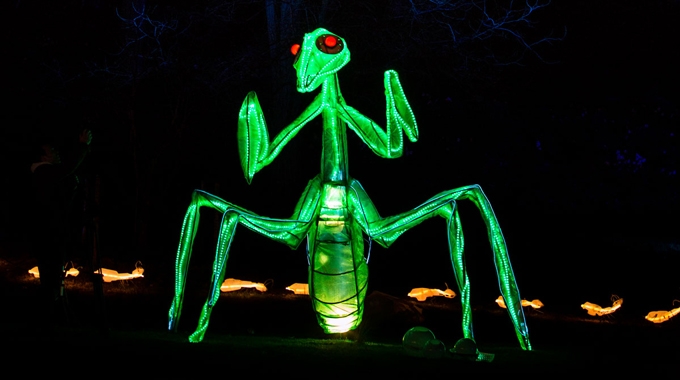 Lighscapes at Philipsburg Manor