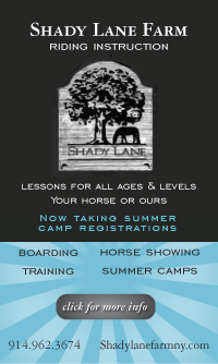 Shady Lane Summer Camps