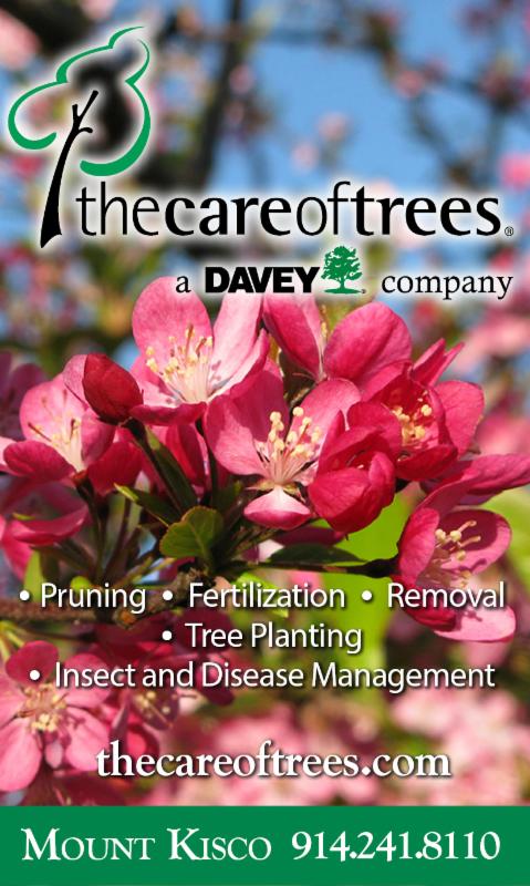 The Care of Trees
