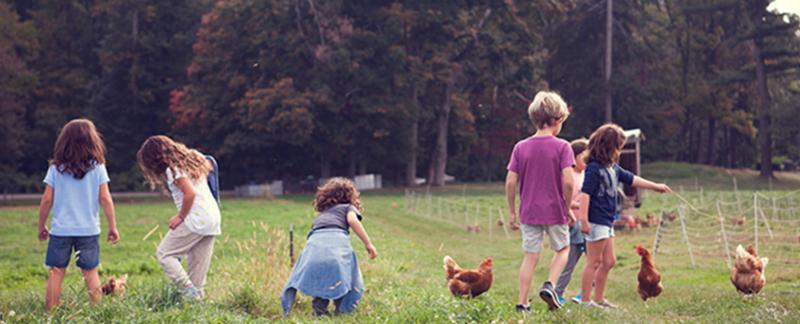 Summer Solstice at Stone Barns