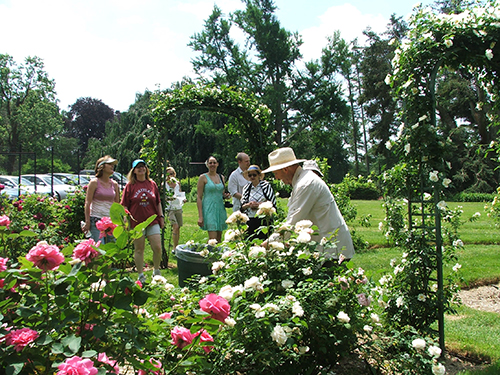 Lyndhurst Plant Sale