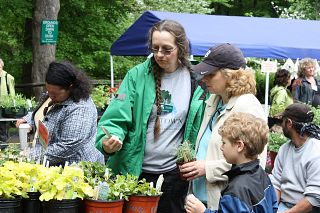 Teatown Plant Sale