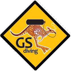 GS-DIVING logo transparent
