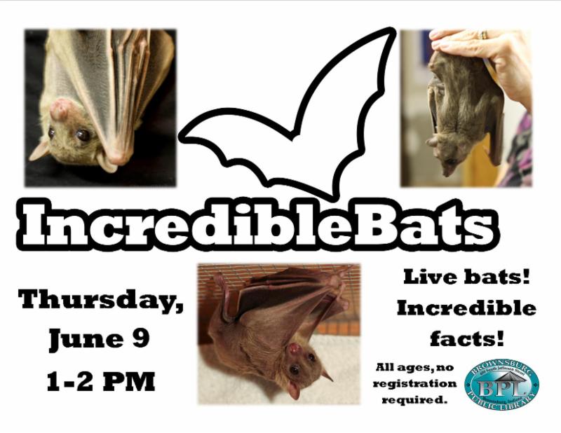 incredible bats thursday june 9 1 pm