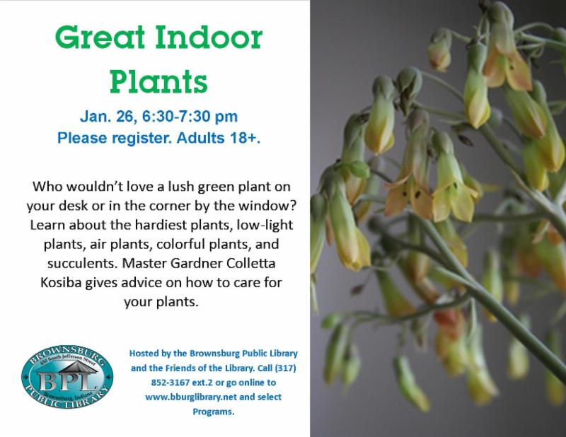 great indoor plants january 26 6_30 pm