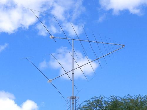 radio antenna above tree top