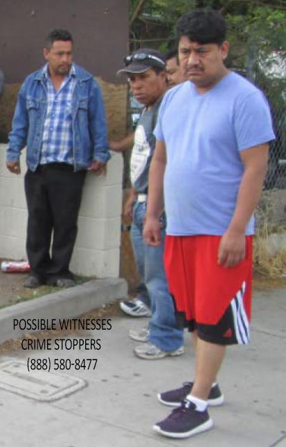 Vista Homicide Witnesses