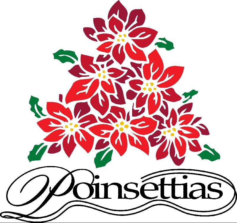 poinsettias