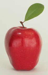 apple.jpg