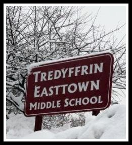 tems sign in snow