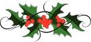 holly ornamental
