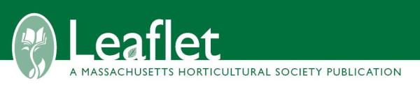 Leaflet Header