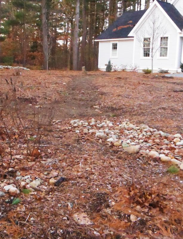 Our lawn is a parfait of chopped leaves and mulch