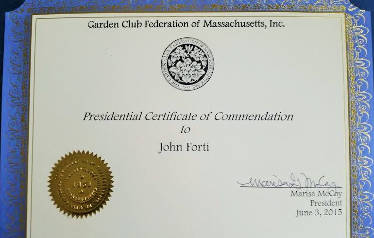 John Forti's Certificate