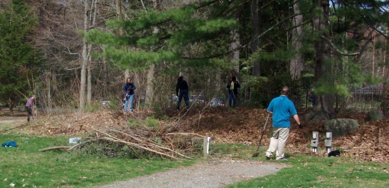 Clearing invasives from the site of the Old Treehouse