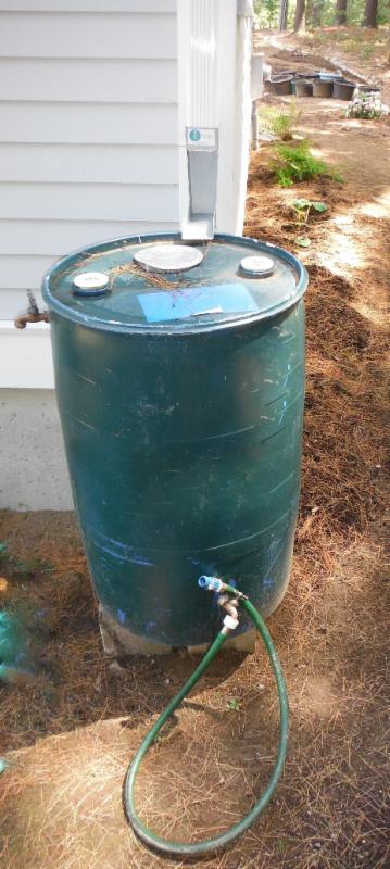 A rain barrel