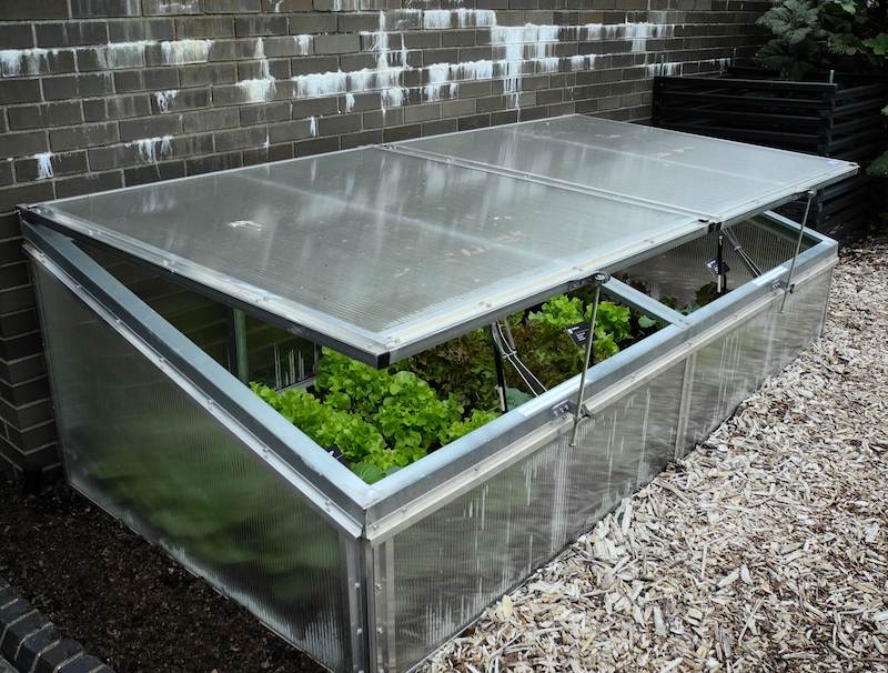 A cold frame will allow you to pick vegetables into November or December 