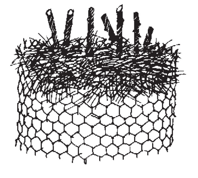 A poultry-wire mesh filled with leaves or pine needles will protect roses