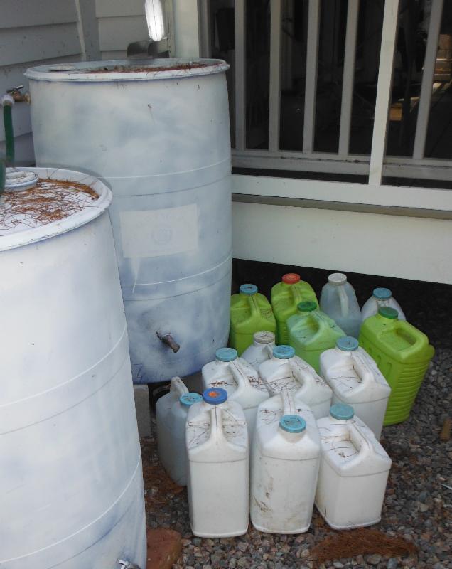 Part of our cat litter container collection with two of our rain barrels